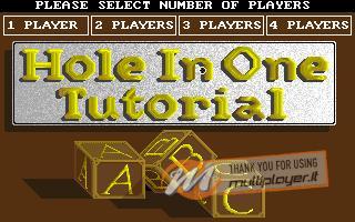 Hole-In-One Miniature Golf