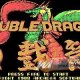 Double Dragon in arrivo su Nintendo 3DS e Wii
