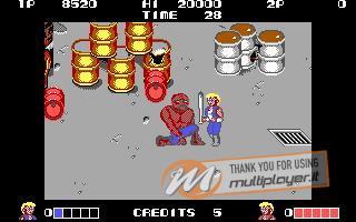 Double Dragon (1987)