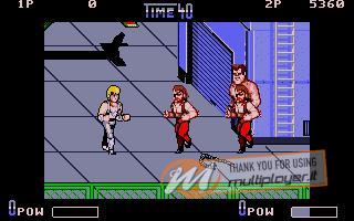 Double Dragon II: The Revenge