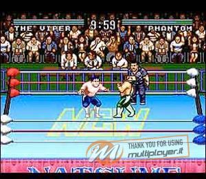 Natsume Championship Wrestling