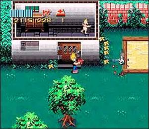 Zombies Ate My Neighbors