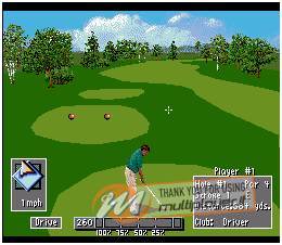 PGA Tour Golf '96
