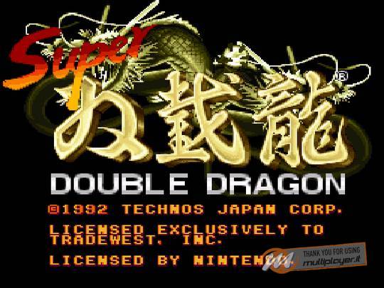 Super Double Dragon