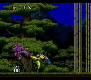 Wolverine: Adamantium Rage