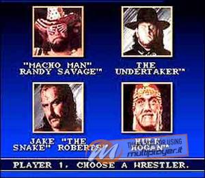 WWF Super Wrestlemania