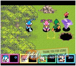 Tiny Toon Adventures: Wild & Wacky Sports