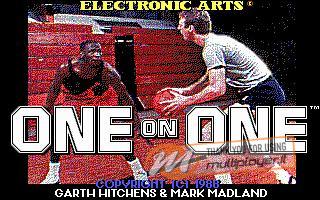 Jordan vs. Bird: One-on-One