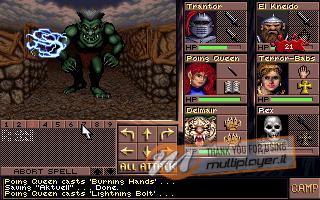 Eye of the Beholder III: Assault on Myth Drannor