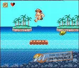 Super Adventure Island II
