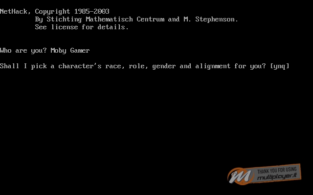 NetHack