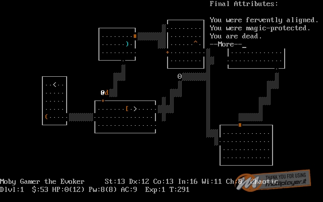 NetHack