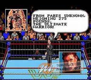 WWF Super Wrestlemania