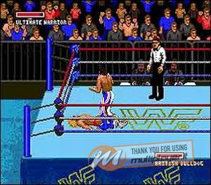 WWF Super Wrestlemania