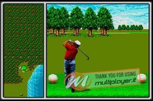 Arnold Palmer Tournament Golf