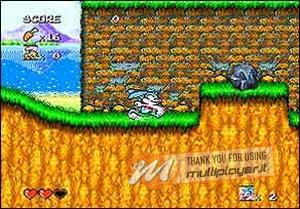 Tiny Toon Adventures: Buster's Hidden Treasure