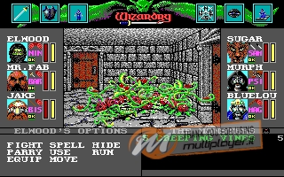 Wizardry VI: Bane of the Cosmic Forge