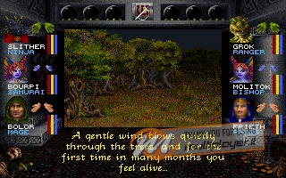 Wizardry VII: Crusaders of the Dark Savant