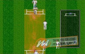 Brian Lara Cricket