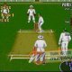 Brian Lara Cricket - Trucchi
