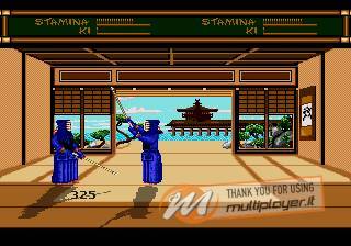 Budokan: The Martial Spirit