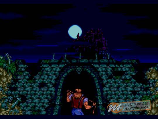 Castlevania: The New Generation