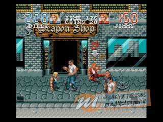 Double Dragon III: The Rosetta Stone