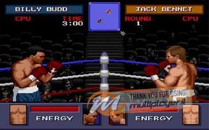 Evander 'Real Deal' Holyfield's Boxing