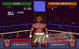 Evander 'Real Deal' Holyfield's Boxing