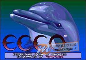 Ecco the Dolphin