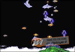 Ecco the Dolphin