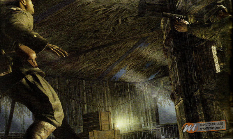 Call of Duty: World at War - Provato