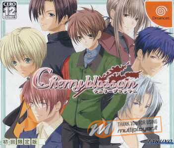 Cherry Blossom