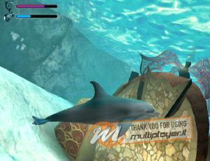 Ecco the Dolphin