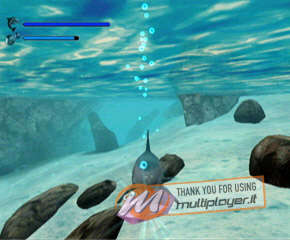 Ecco the Dolphin