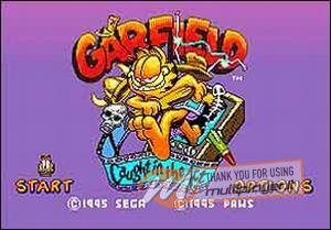 Garfield: Caught in the Act