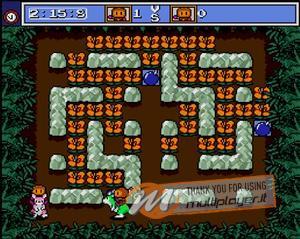Mega Bomberman