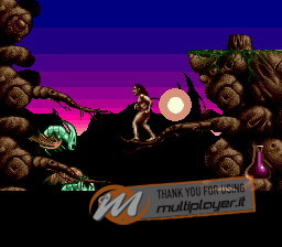 Shadow of the Beast II