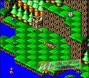 Snake Rattle 'n' Roll