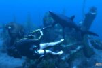 La seconda espansione di Tomb Raider Underworld disponibile su XBLM - Notizia
