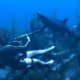 La seconda espansione di Tomb Raider Underworld disponibile su XBLM