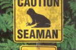 Seaman - Nuovi avvistamenti sotto etichetta Nintendo - Notizia
