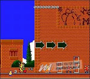 The New Zealand Story