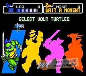 Teenage Mutant Ninja Turtles: The Hyperstone Heist