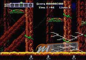 Strider