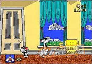 Sylvester & Tweety in Cagey Capers