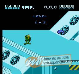 Battletoads & Double Dragon: The Ultimate Team