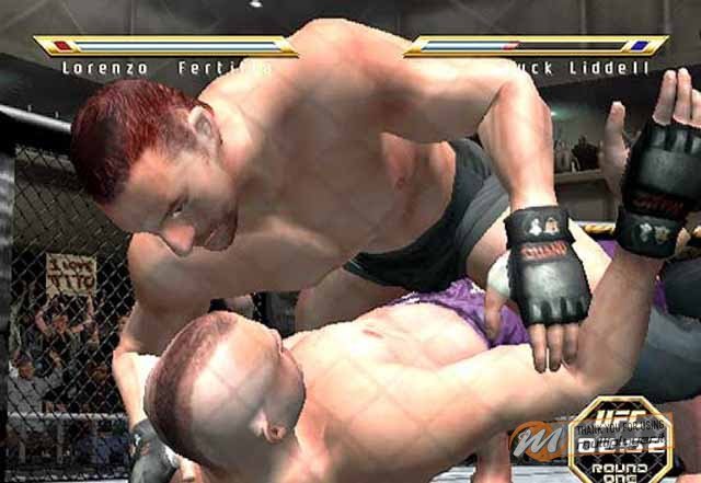 Ultimate Fighting Championship