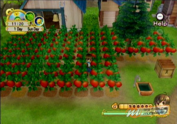 Harvest Moon: L'Albero della Tranquillità