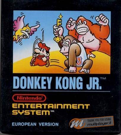Donkey Kong Junior